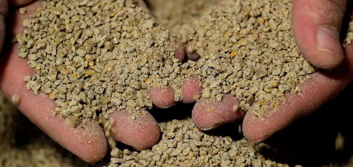 Комбикорм для цыплят бройлеров